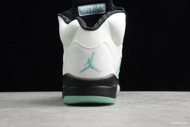 CN2932-100 5 Air Island Jordan Green 1007